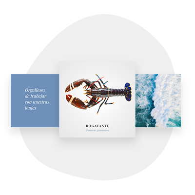 Diseño y creación de contenido visual para redes sociales corporativas: Posts Instagram.
