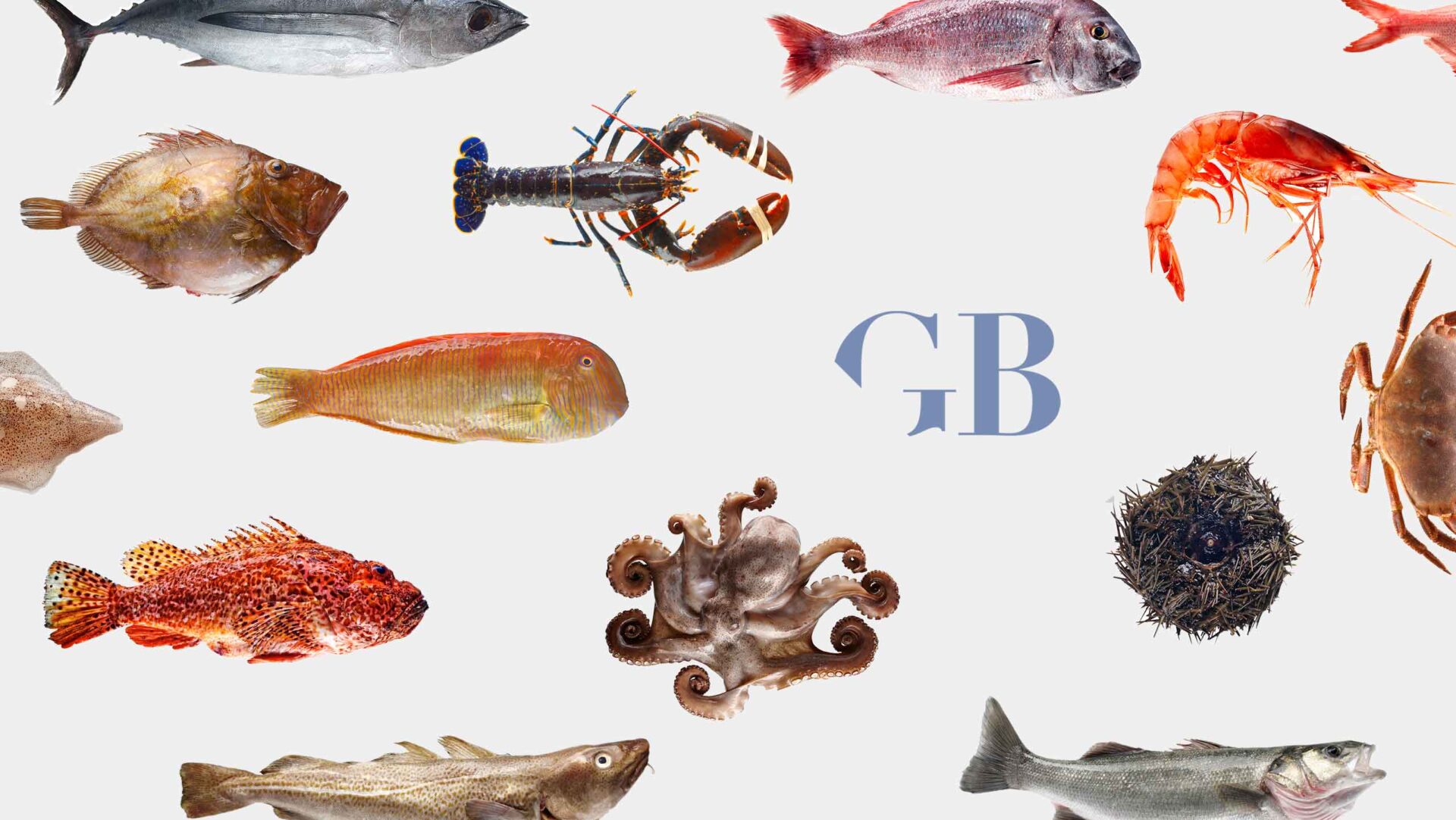 Rediseño de identidad visual para GranBlau, distribuidora de pescado y marisco